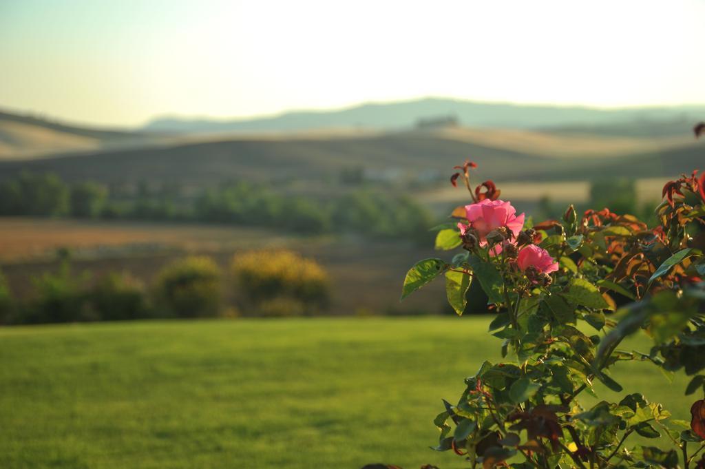 L'Olmo Bed & Breakfast Monticchiello Exterior photo