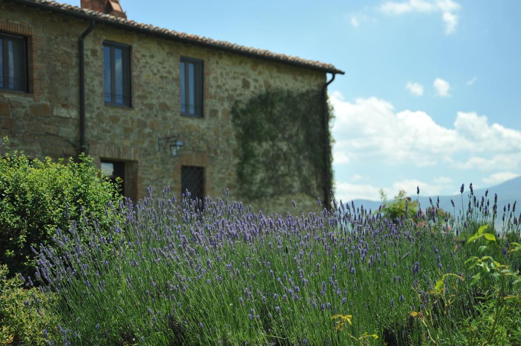 L'Olmo Bed & Breakfast Monticchiello Exterior photo